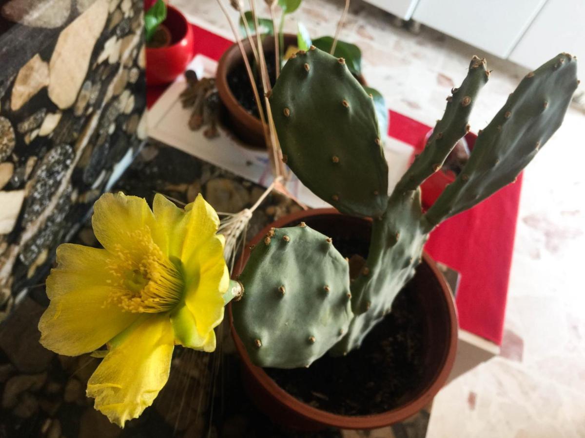 Trinaco B&B Katania Zewnętrze zdjęcie